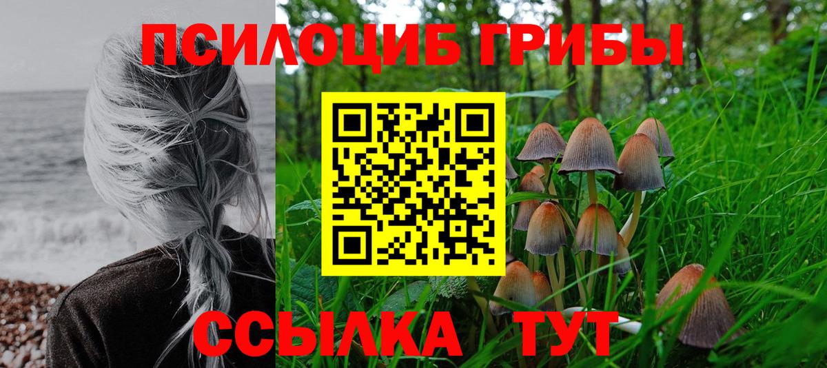 Псилоцибиновые грибы MAGIC MUSHROOMS Протвино
